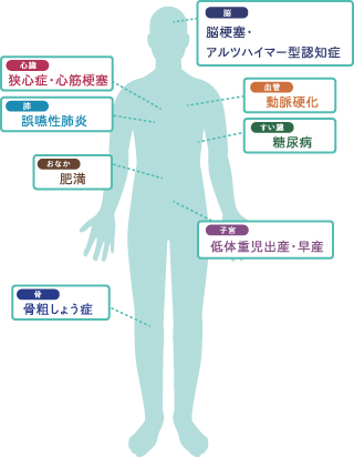 五反野駅・木村歯科医院・お口と全身の関係